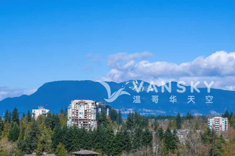 260305202144_Mountain 3.jpg